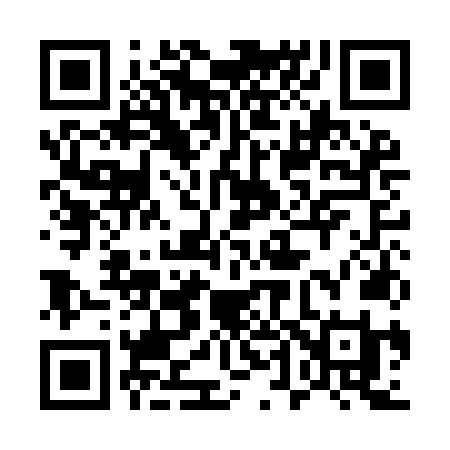 QR code for 541INI