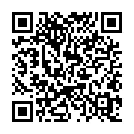 QR code for 541QLM