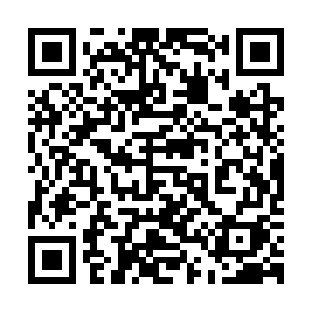 QR code for 541SWI