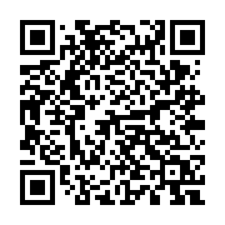 QR code for 541VGT