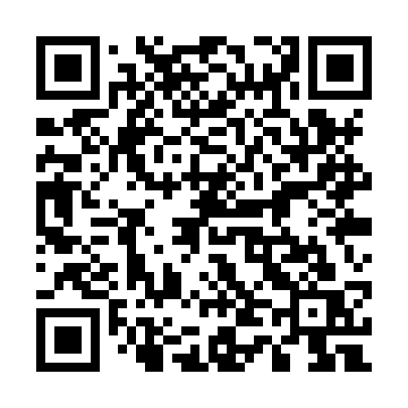 QR code for 541XSS