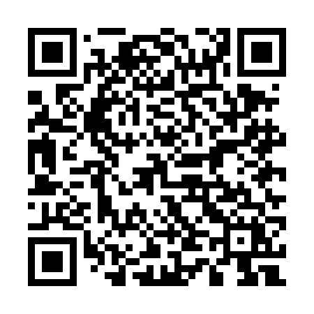 QR code for 545DFX