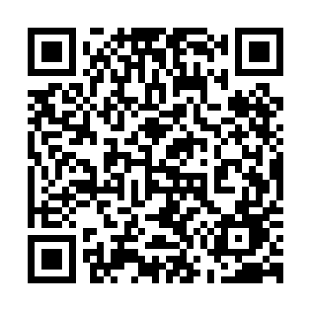 QR code for 575PED