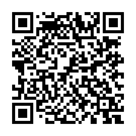 QR code for 595LCS