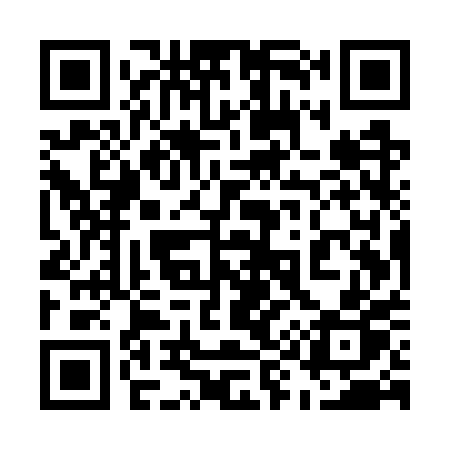 QR code for 595WPP