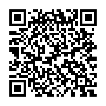 QR code for 597PSI