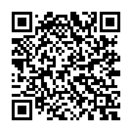 QR code for 599XOR