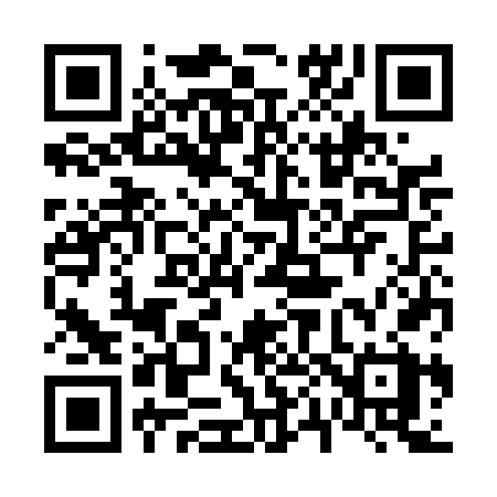 QR code for 603DFX
