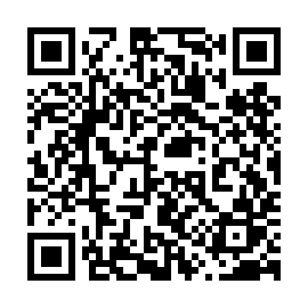 QR code for 613DIR