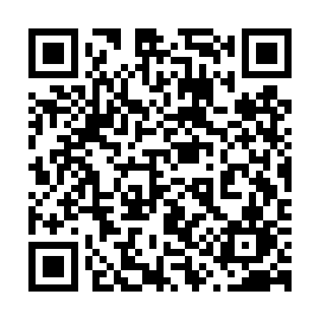 QR code for 613DSN
