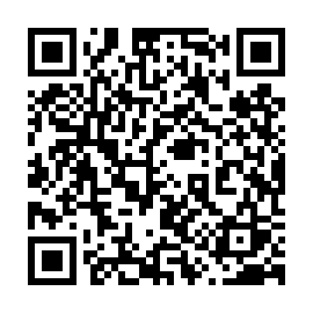 QR code for 618TSS
