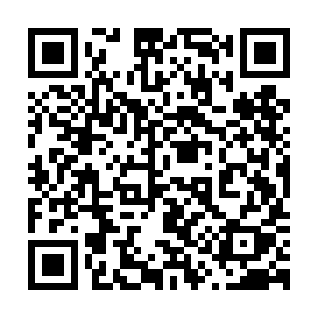 QR code for 619DIY
