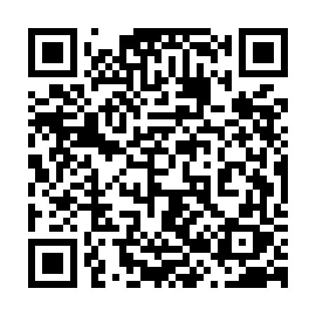 QR code for 625MFX