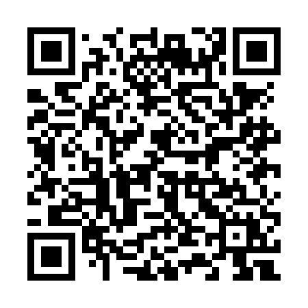 QR code for 641NEX