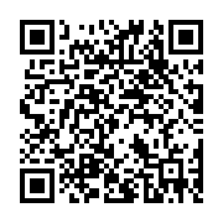 QR code for 641PBE