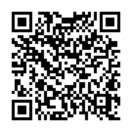 QR code for 641SMX
