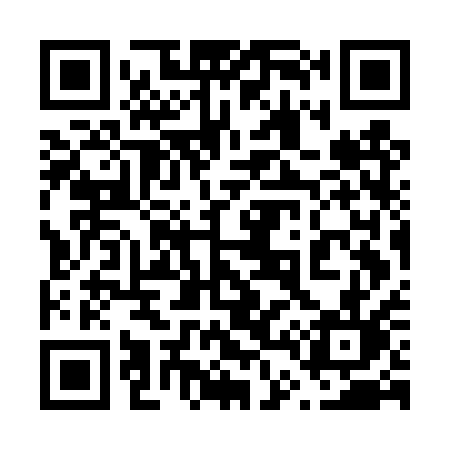 QR code for 647DQL