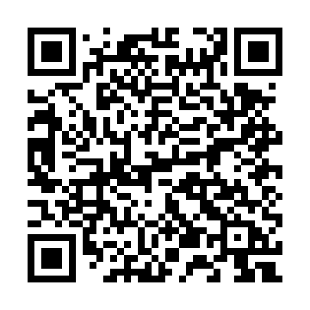 QR code for 650DUB