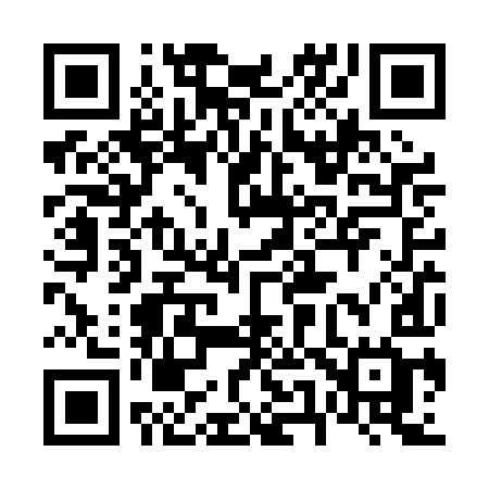 QR code for 652PIG