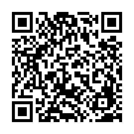 QR code for 653EFF