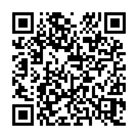 QR code for 653IIR