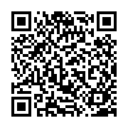 QR code for 653PQO