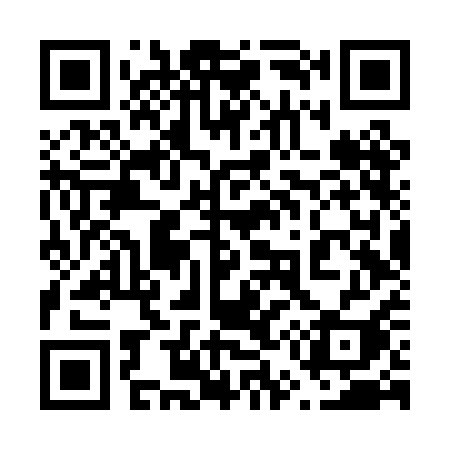 QR code for 656PAI