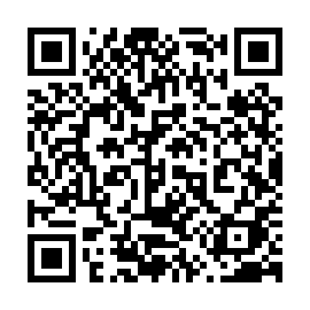 QR code for 656PPI