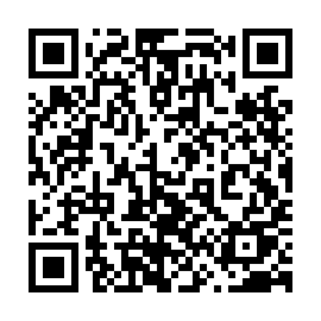 QR code for 663LIU