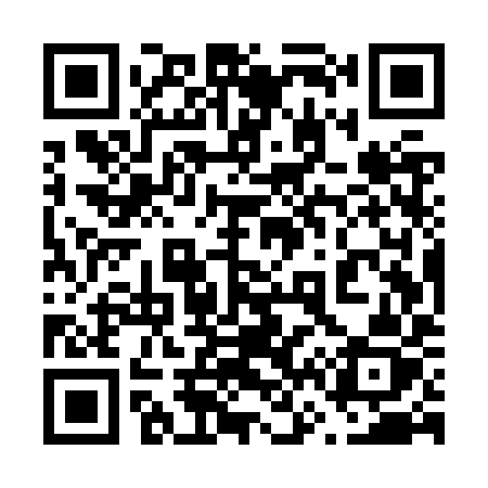 QR code for 665ZYZ