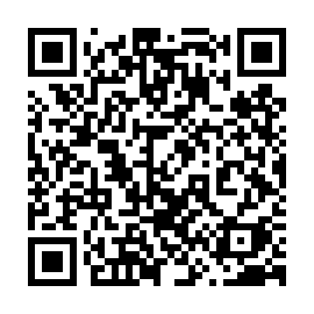 QR code for 666DSI