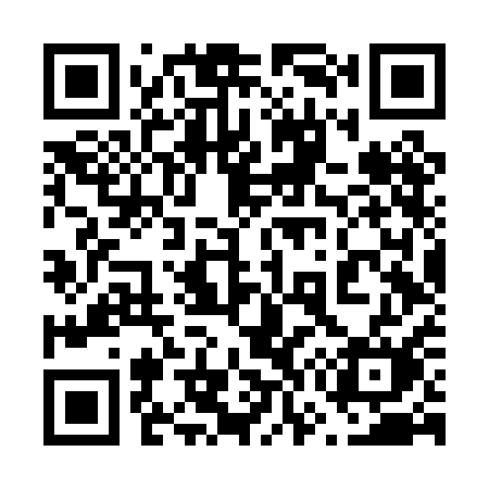 QR code for 676PAM