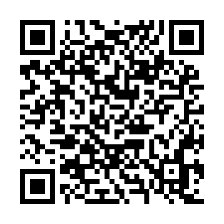QR code for 696INN