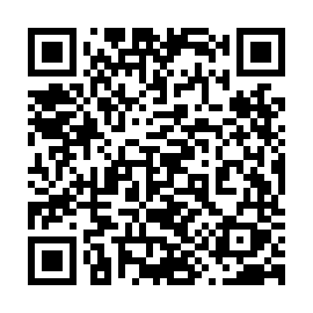 QR code for 699LNY