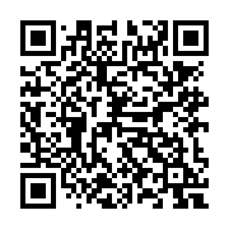 QR code for 699NIE