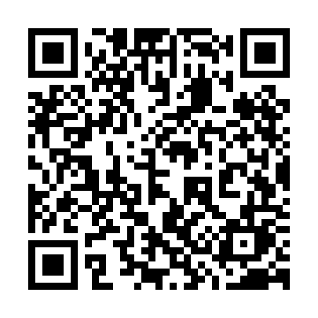 QR code for 737POL