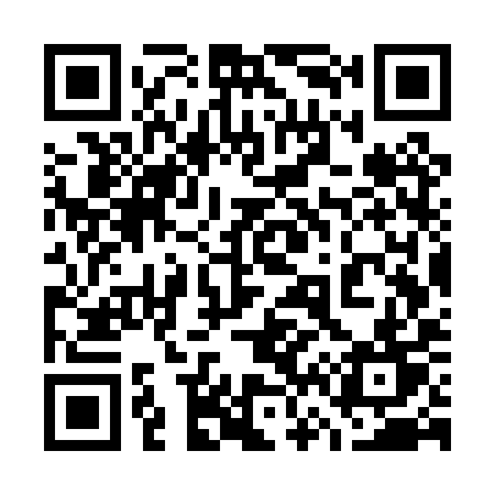 QR code for 767PYT