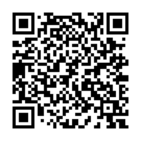 QR code for 810PIS