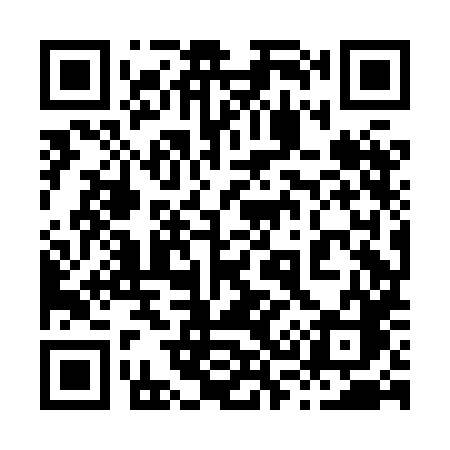 QR code for 838HHC