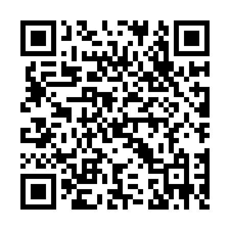 QR code for 838IDM