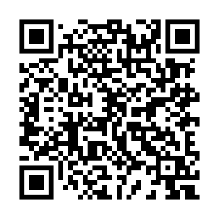 QR code for 838MIR
