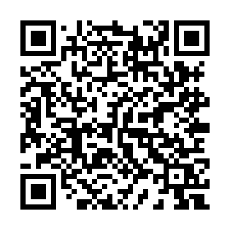 QR code for 838XOS
