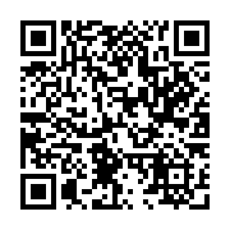 QR code for 866CHI