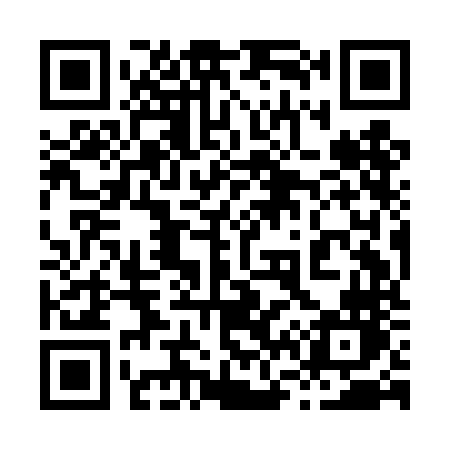 QR code for 869DNN
