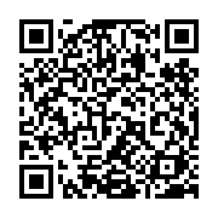 QR code for 911DBI