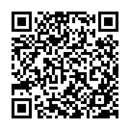 QR code for 916PUN