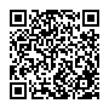 QR code for 919CHF