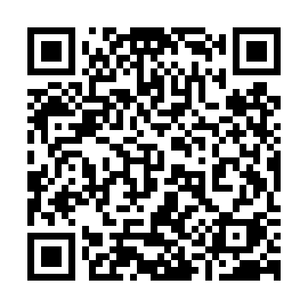QR code for 919DSI