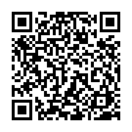 QR code for 919MCC