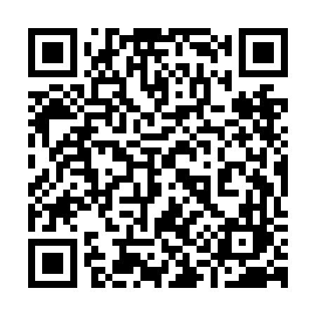 QR code for 919NFL